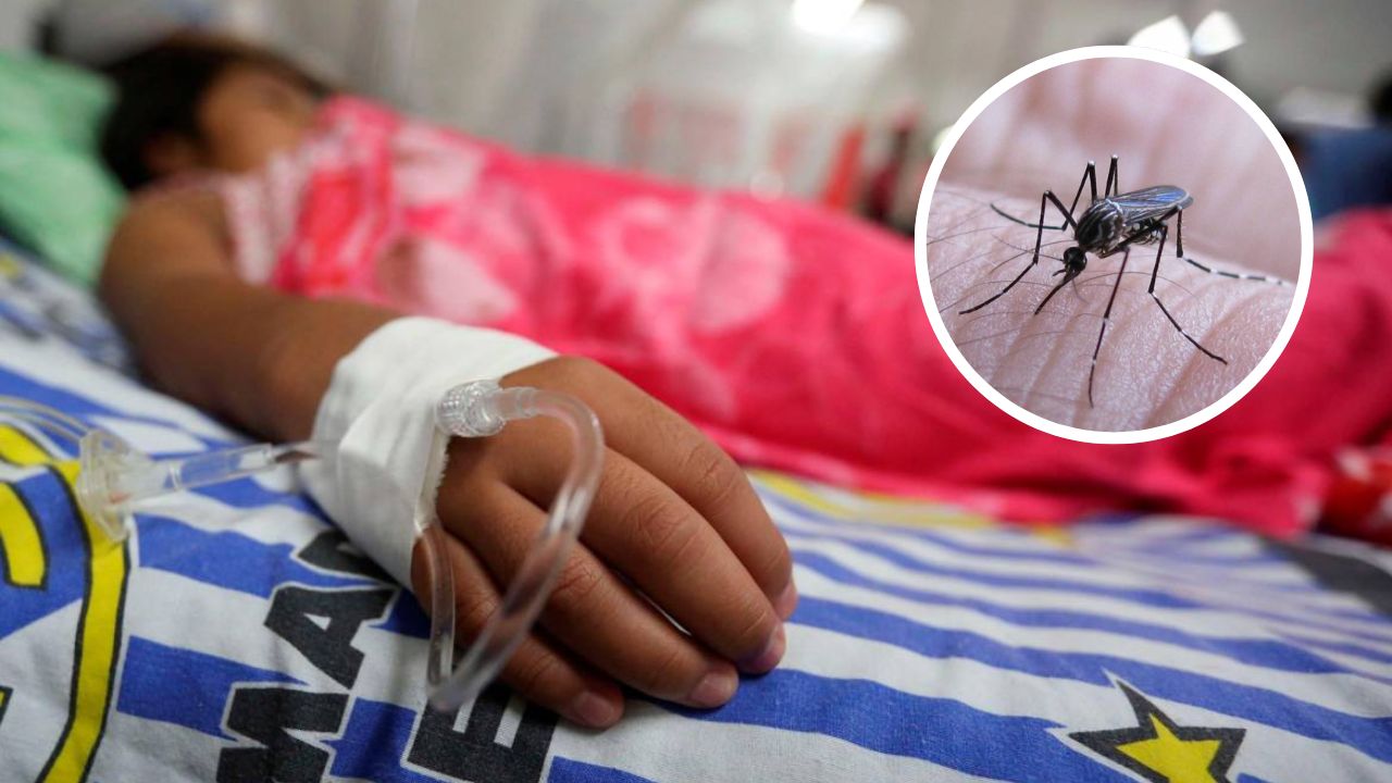 Imagen de 'El dengue está matando' en Honduras; hay 6 mil casos activos, confirman médicos