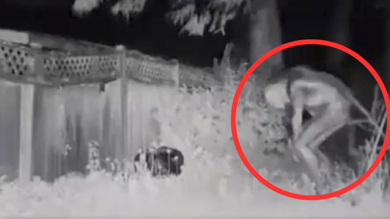 'Se lo juro por Dios', captan impactante vídeo de criatura extraña en el patio de una casa