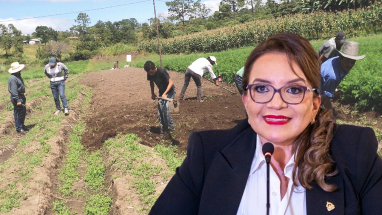 Imagen de Presidenta Castro anuncia desalojo de tierras y creación de comisión agrícola