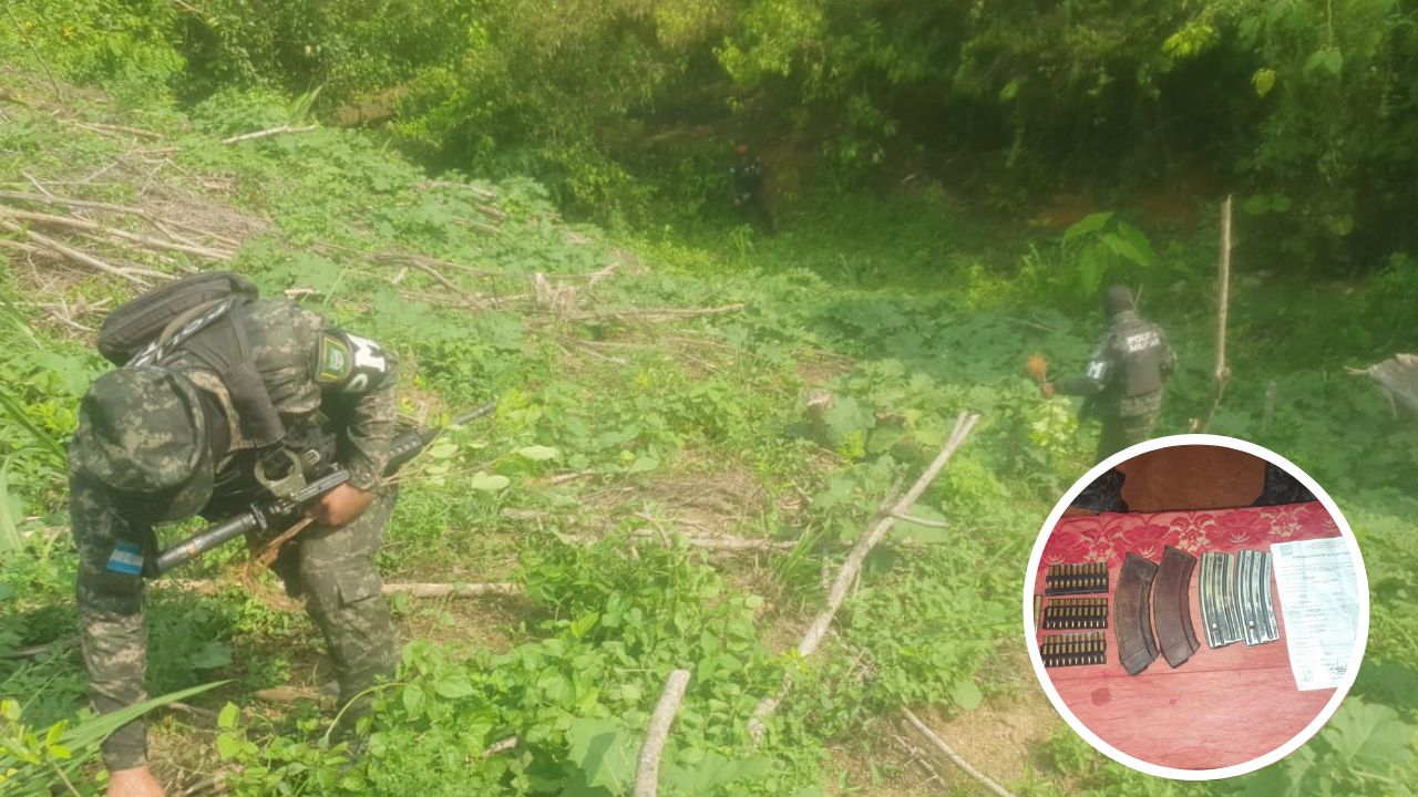 Imagen de Fotos y video: FF.AA. aseguran 64 mil arbustos de cocaína en plantación de droga en Patuca, Olancho