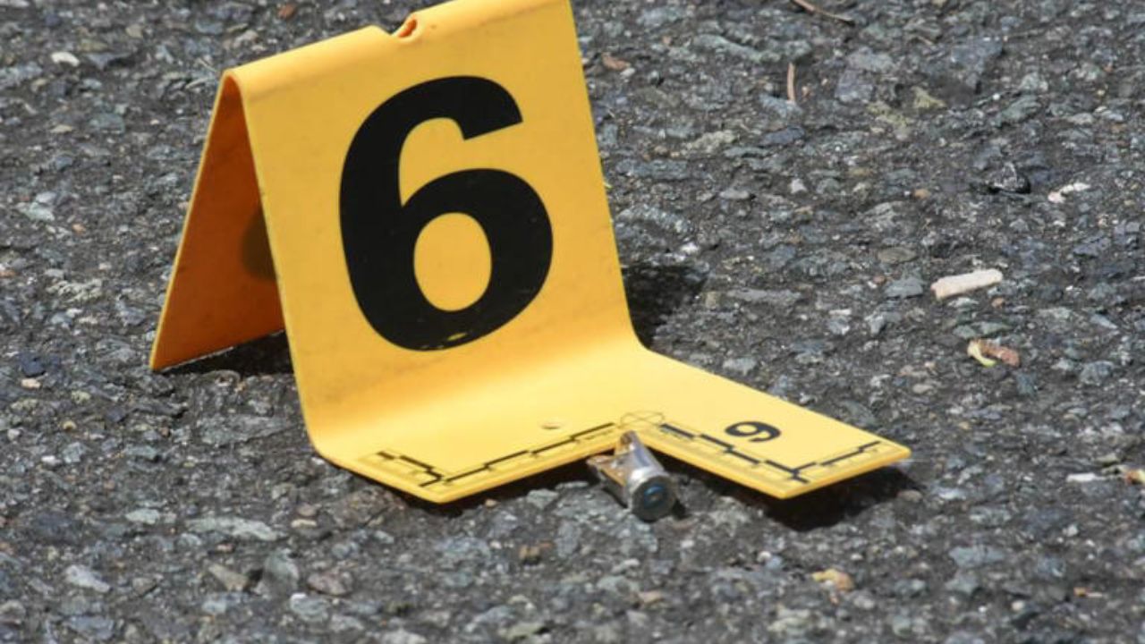 Imagen de Modelo embarazada es atacada a tiros, antes de morir dio a luz