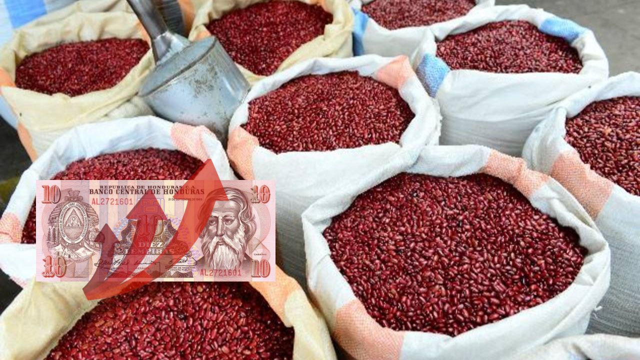 Imagen de Al menos L 10 aumentará la medida de frijol para la próxima semana en el Distrito Central