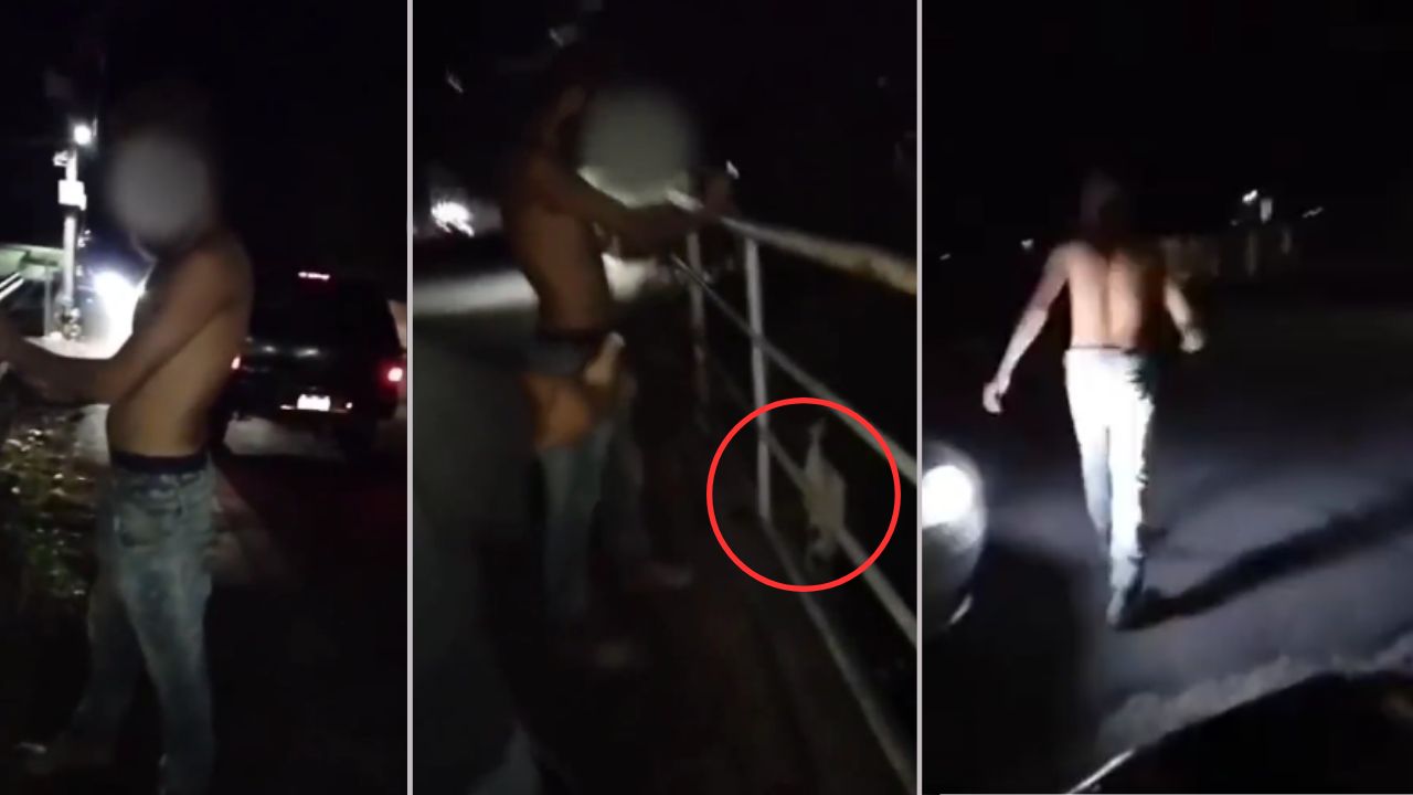 Fuerte vídeo: hombre asfixia a un perro y lo intenta lanzar a un río