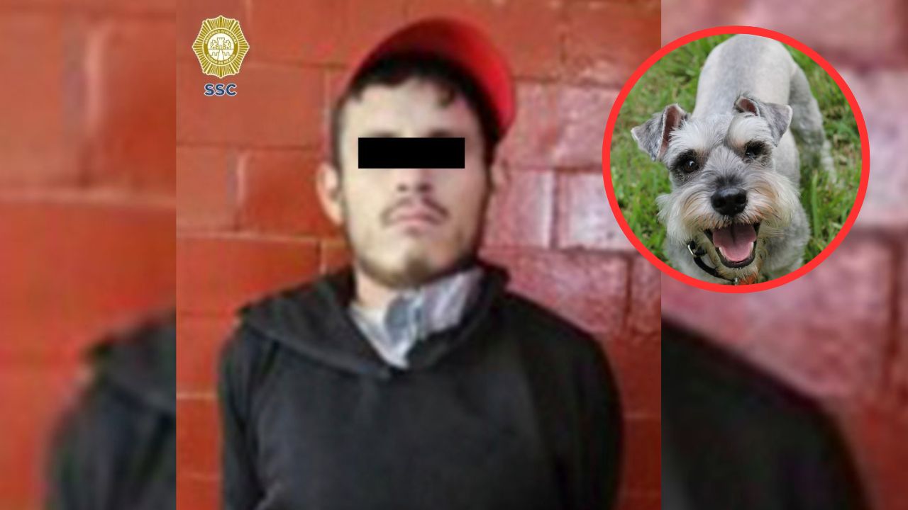 Hombre apuñaló a un perro y a su dueño porque la mascota le ladró cuando iba pasando