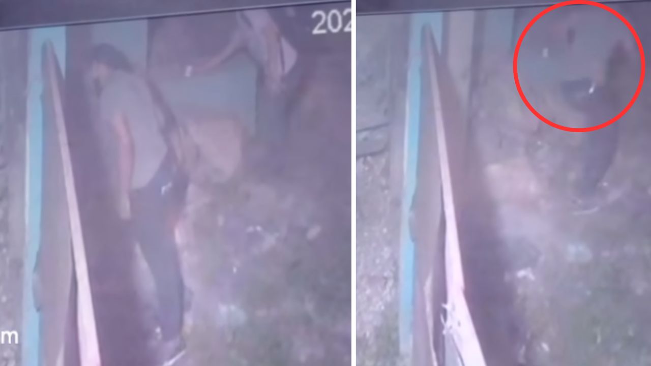 'Salieron trasquilados', captan a dos hombres que ingresaron a una casa a 'robar' y salieron asustados