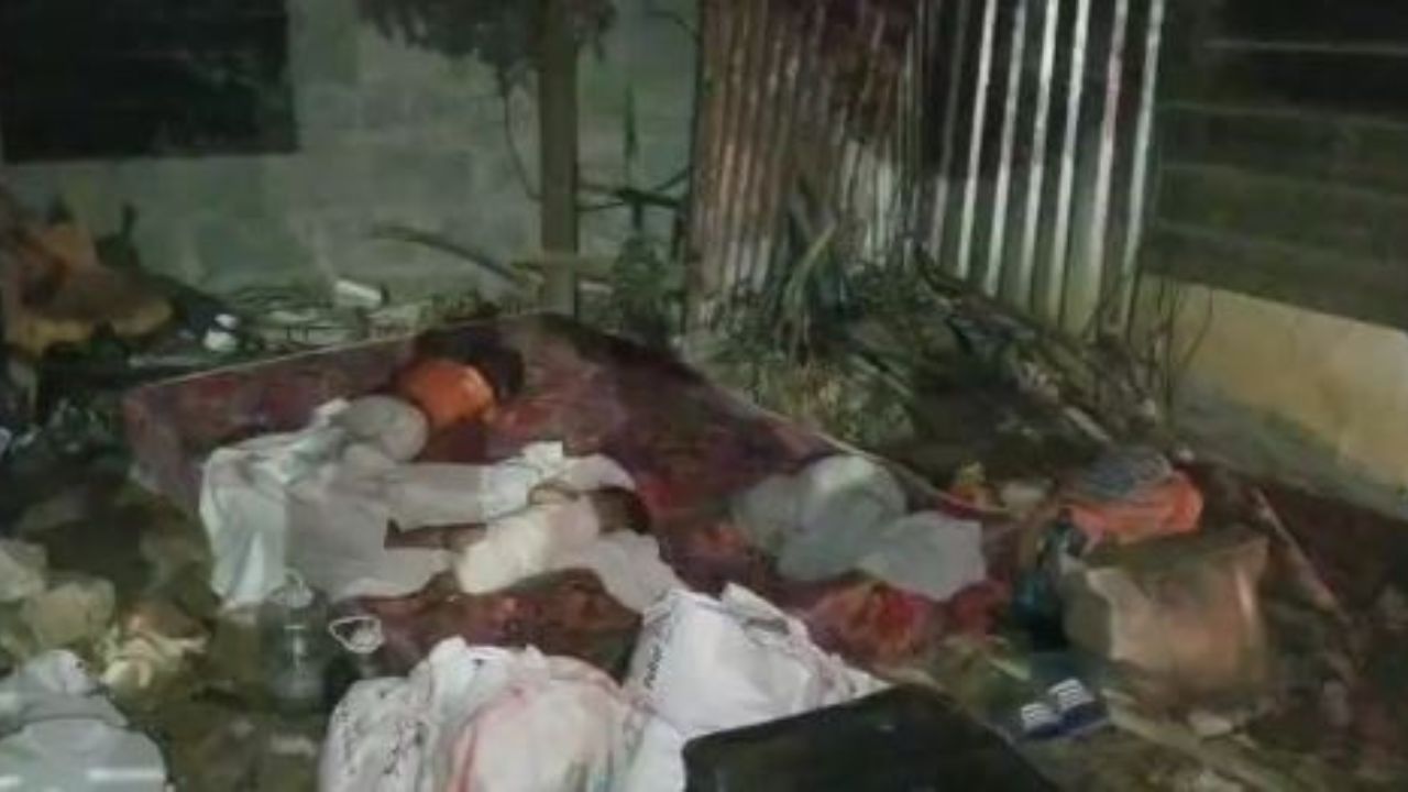 Imagen de Hermanitos de 2 años y 10 meses duermen en un colchón bajo un árbol en Roatán; fueron desalojados de cuartería