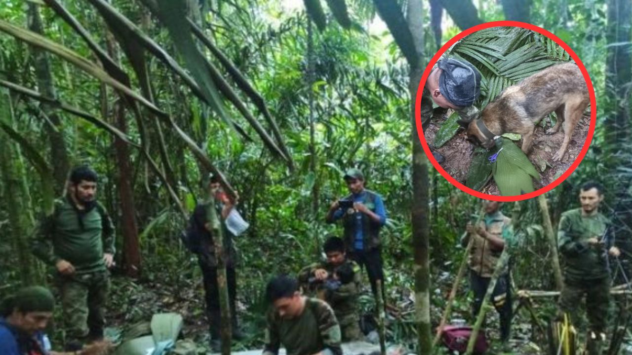 Imagen de Alegría en Colombia tras rescate de los cuatro niños perdidos en la selva hace 40 días