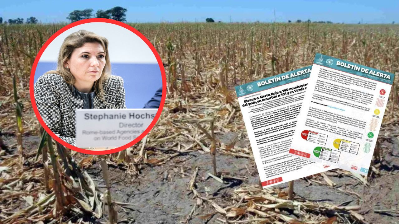 Imagen de PMA destina $2 millones para atender a unas 25 mil familias hondureñas por la sequía