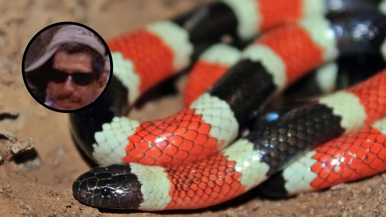 Hombre muere por mordedura de serpiente en Copán