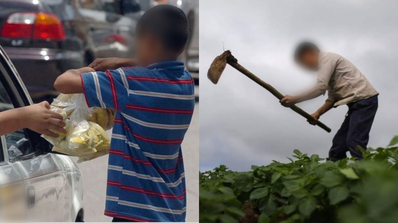 Imagen de Gobierno y expertos llaman a la acción para erradicar trabajo infantil en Honduras