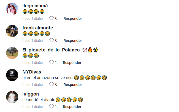 En redes sociales, muchos usuarios se han reído del suceso. Foto: TikTok