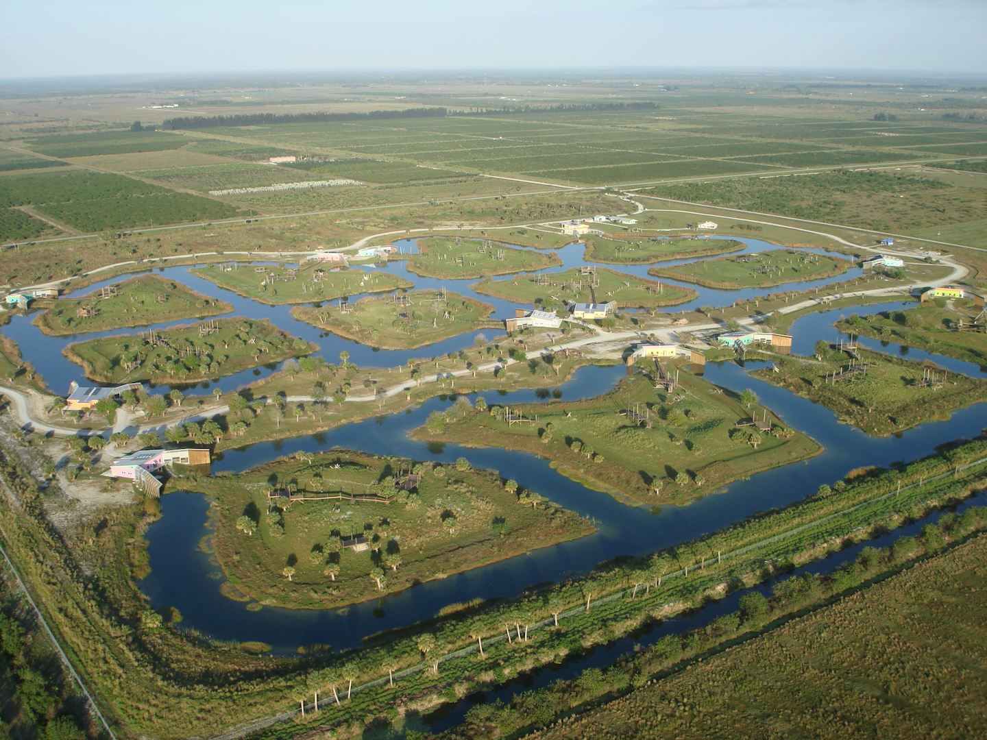 El santuario de Save The Chimps se ubica en Fort Pierce, Florida, y mide aproximadamente 60 hectáreas. Foto: Save The Chimps