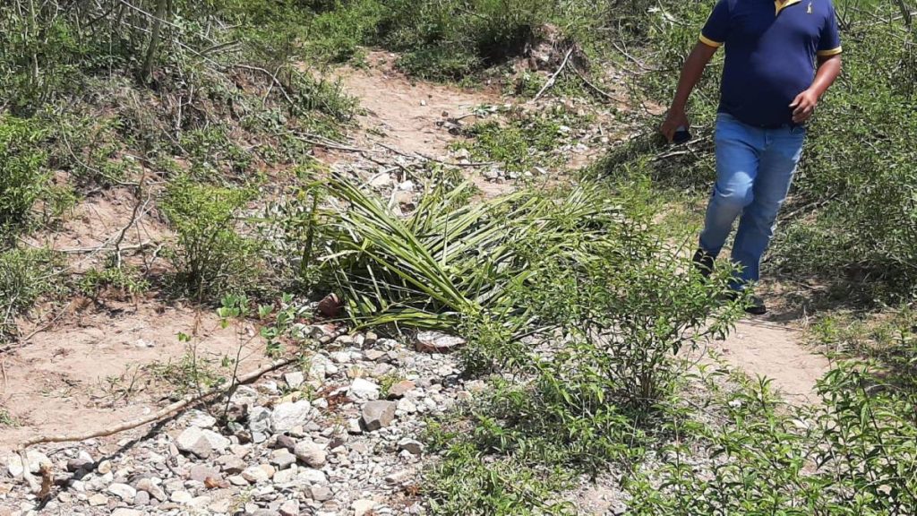 Imagen de cuerpo de nota