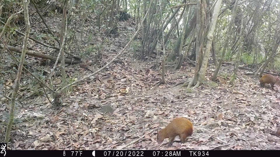 Imagen de cuerpo de nota