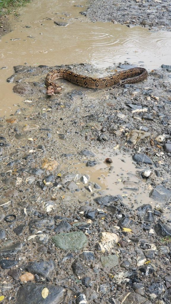 Imagen de cuerpo de nota