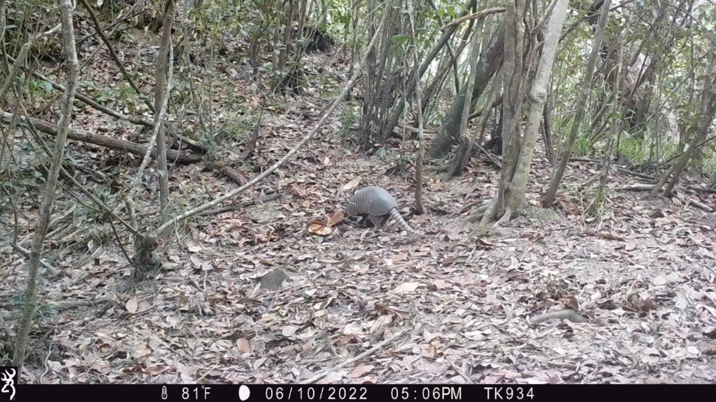 Imagen de cuerpo de nota