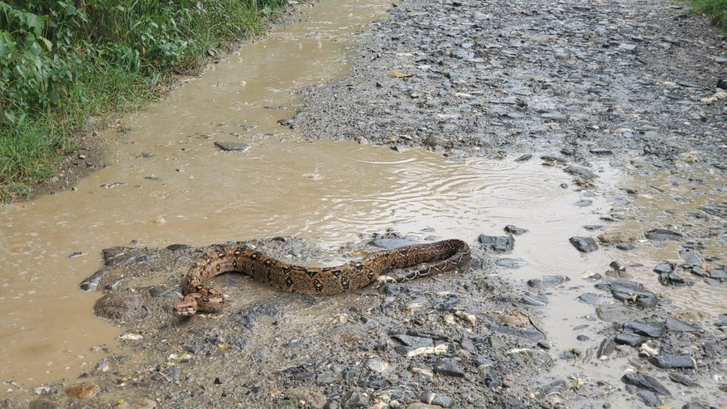 Imagen de cuerpo de nota