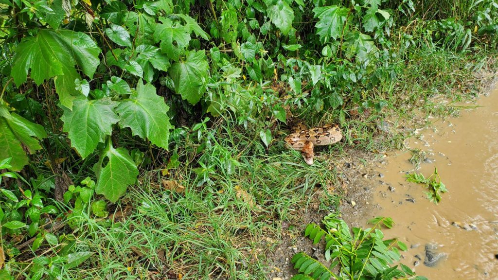 Imagen de cuerpo de nota