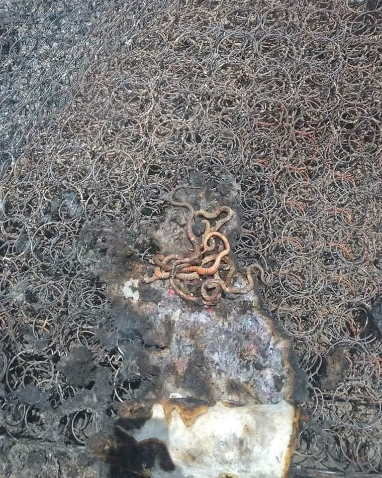 Imagen de cuerpo de nota