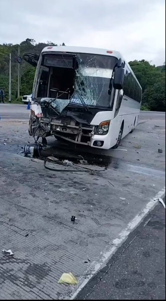 Imagen de cuerpo de nota