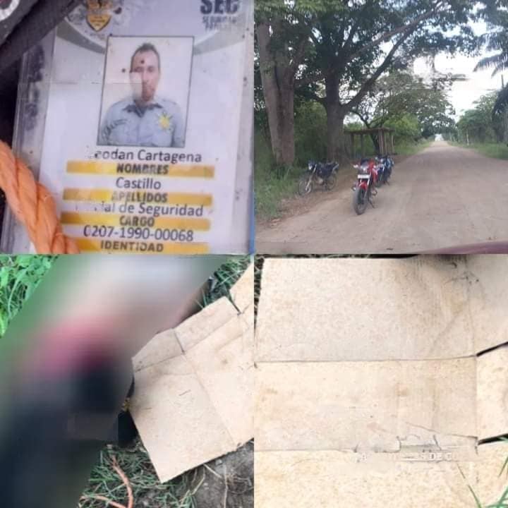 Imagen de cuerpo de nota