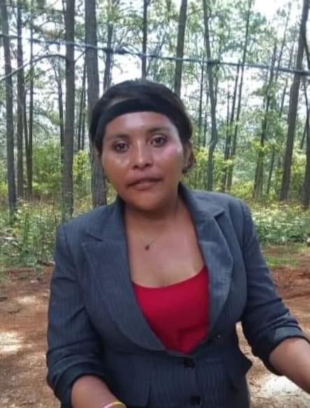 Imagen de cuerpo de nota