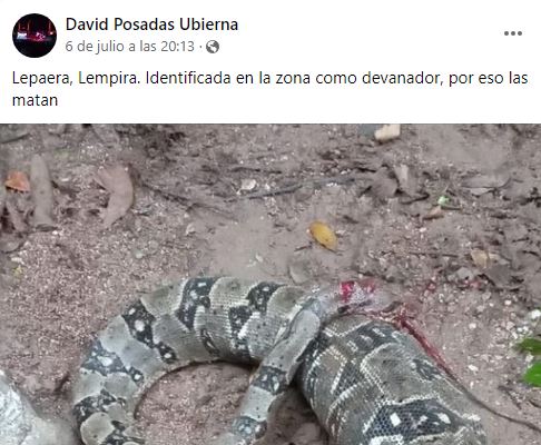 Imagen de cuerpo de nota