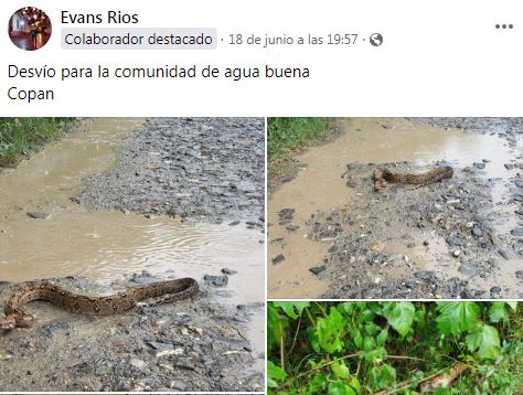 Imagen de cuerpo de nota