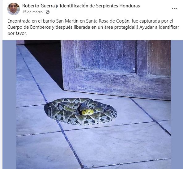 Imagen de cuerpo de nota