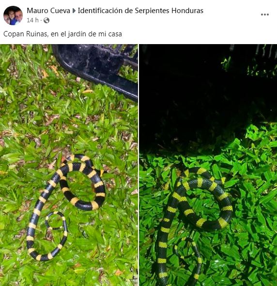 Imagen de cuerpo de nota