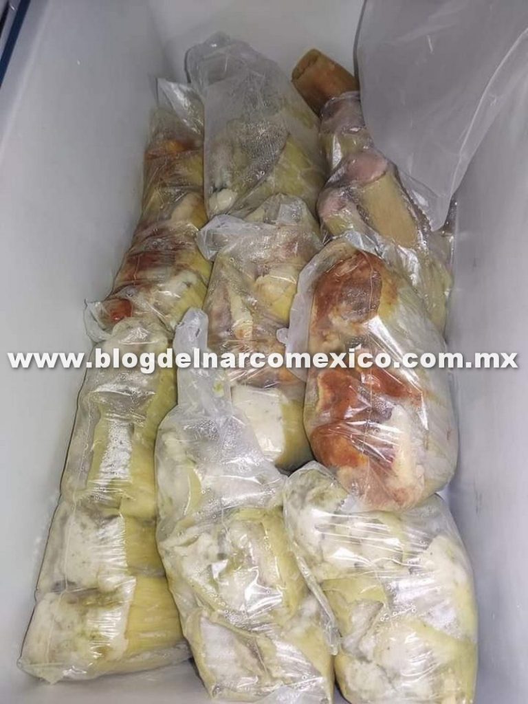 Imagen de cuerpo de nota