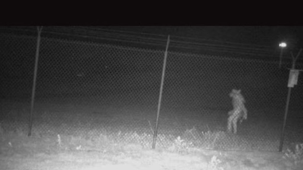 Imagen de cuerpo de nota