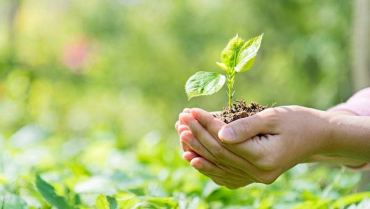 La CAF también financia proyectos en temas de medio ambiente. Foto: Revista ProActivo