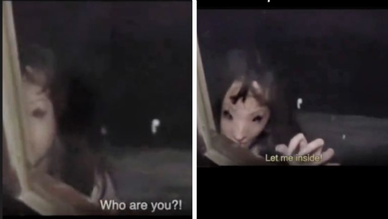 Imagen de cuerpo de nota