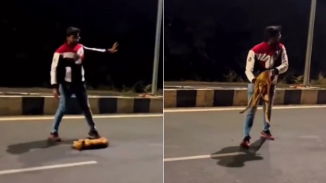 En el video se puede apreciar que el canino se encontraba sin fuerzas. Foto: HRN