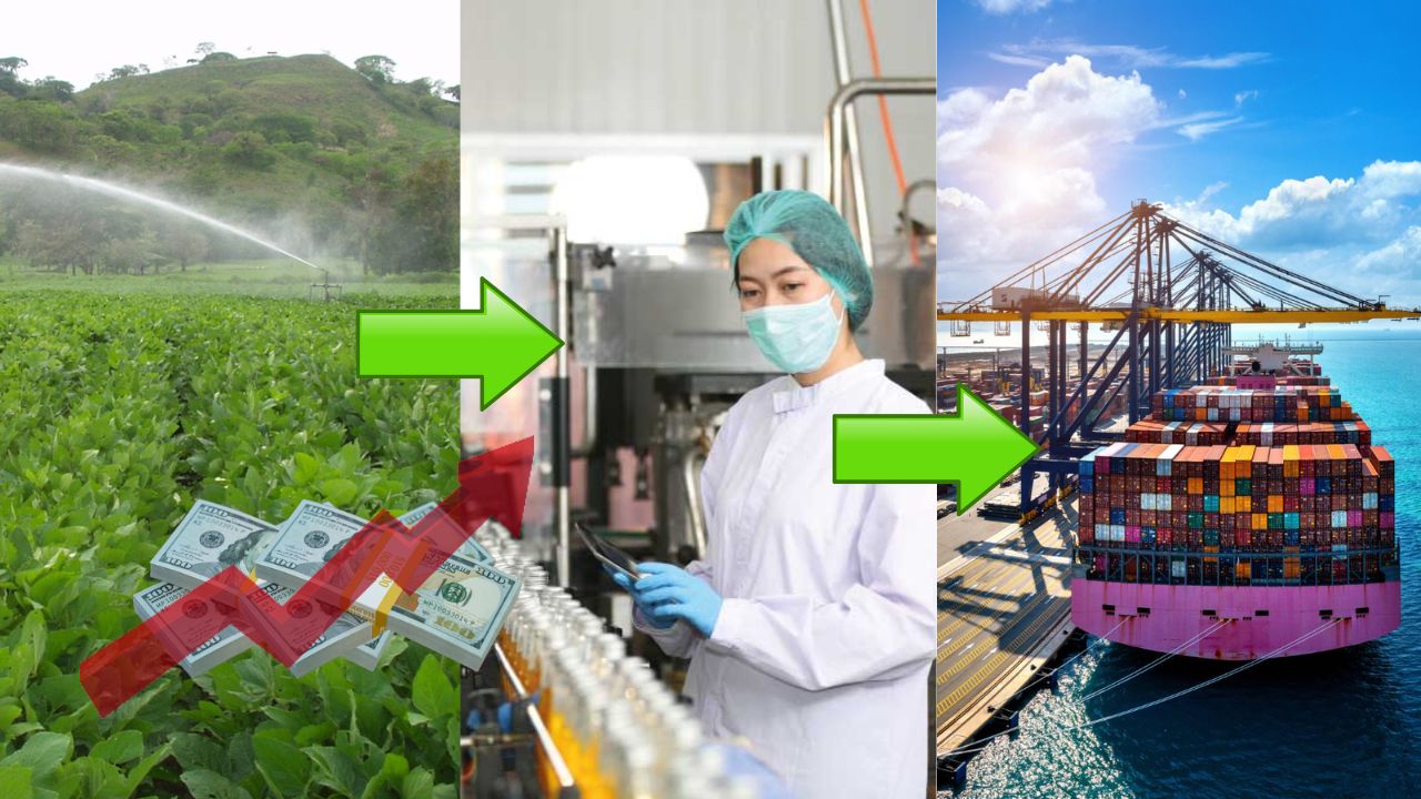 Los subsidios y medidas de protección para el sector manufacturero dañarán la economía mundial