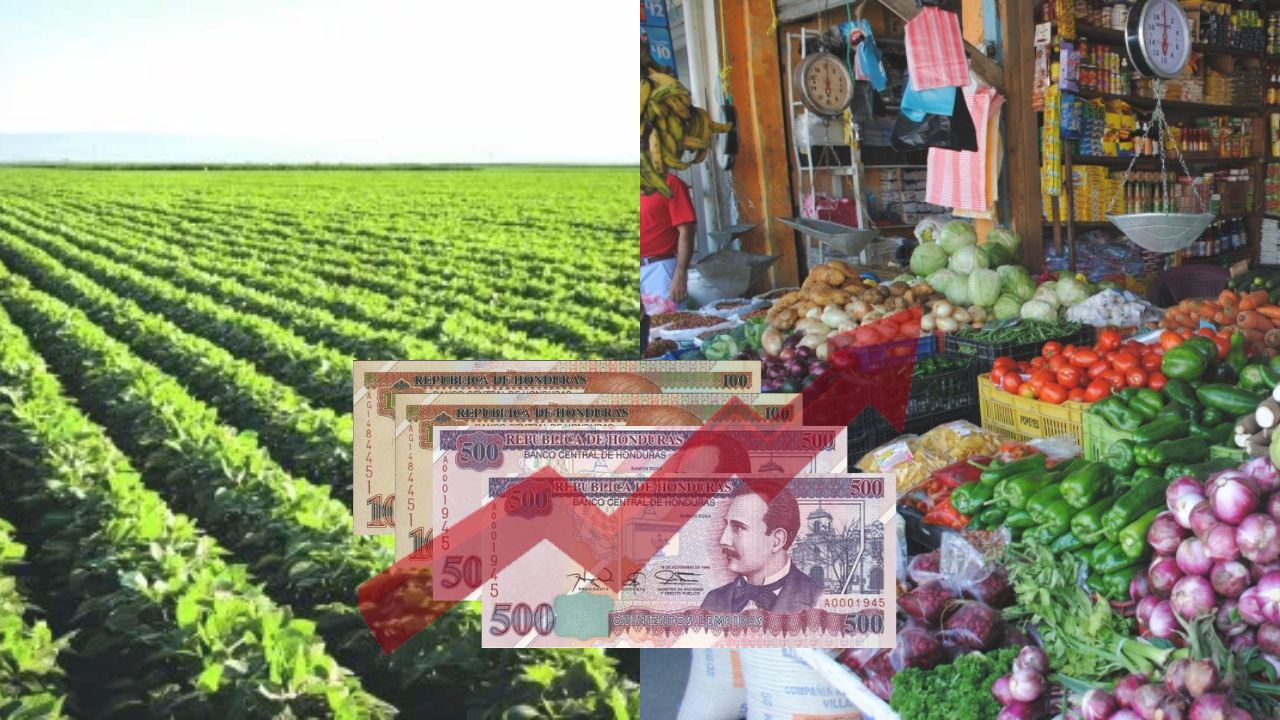 Precio de los alimentos continúa al alza debido al costo de los insumos, según el Banco Mundial