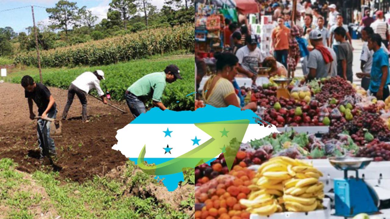 Actividad económica de Honduras creció un 2.5% en los primeros cinco meses de 2023