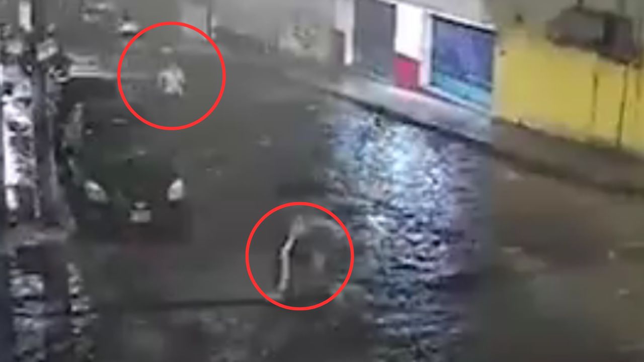 VÍDEO: '¡Es él!': Mujer es asaltada a medianoche y persiguió a los ladrones