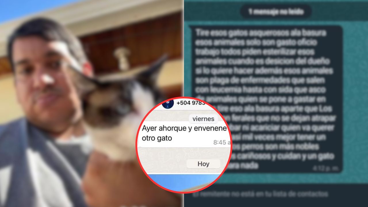 'Ayer ahorqué y envenené a otro gato': Reportan a individuo que maltrata animales en Honduras