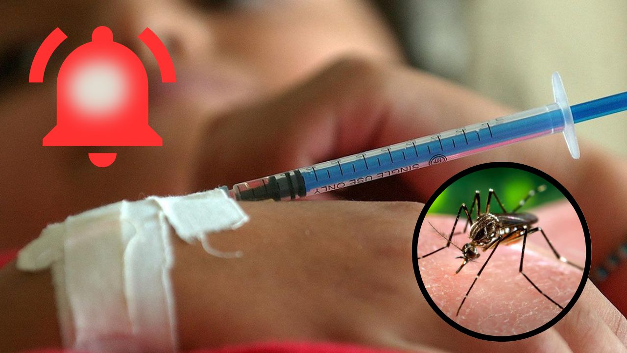 Honduras registra más de 8,000 casos de dengue; cada semana aumentan mil, dice Carlos Umaña