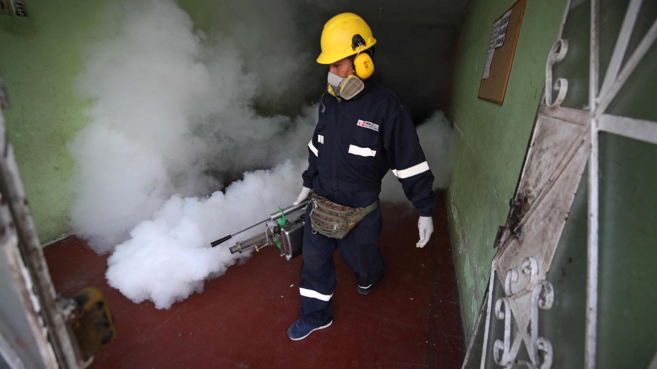 El Gobierno de Perú anuncia un plan para acelerar la disminución de casos de dengue