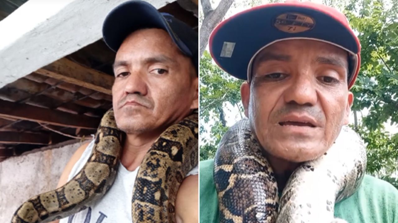 'El domador de serpientes': Hondureño captura culebras en Caridad, Valle porque las 'puede dormir'