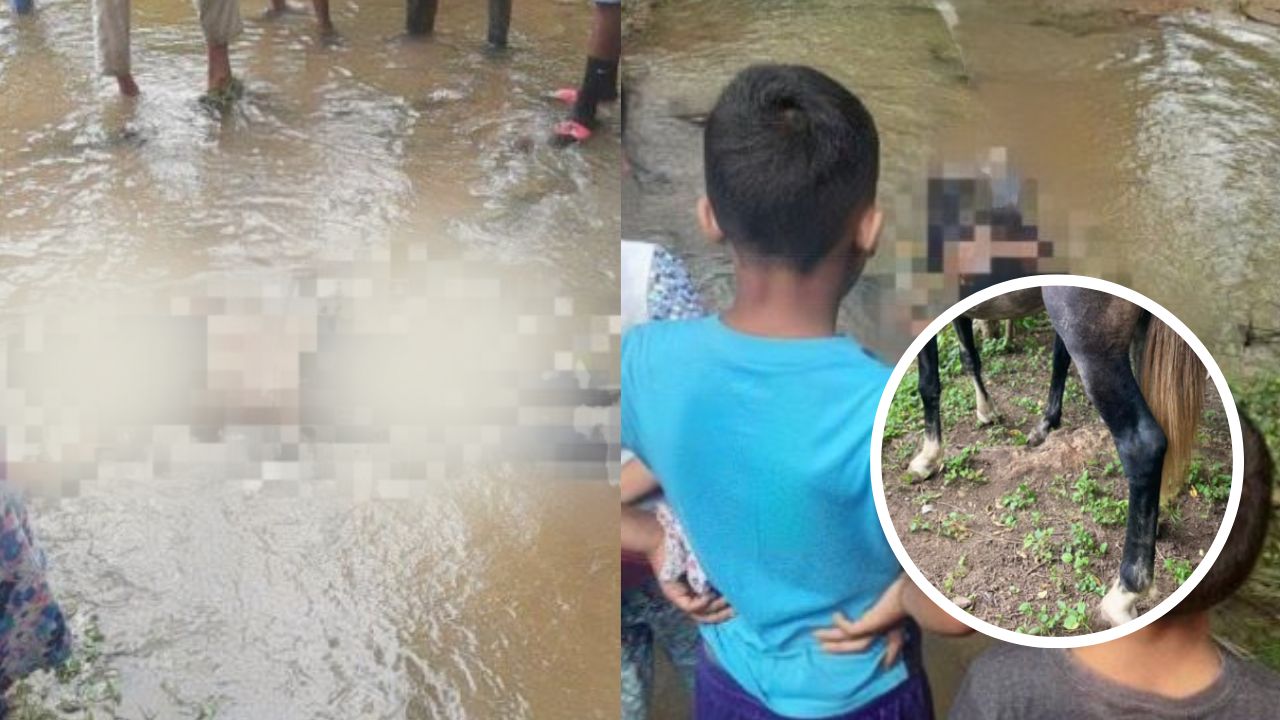 Hombre 'ebrio' se cayó de un caballo y perdió la vida en Juticalpa, Olancho