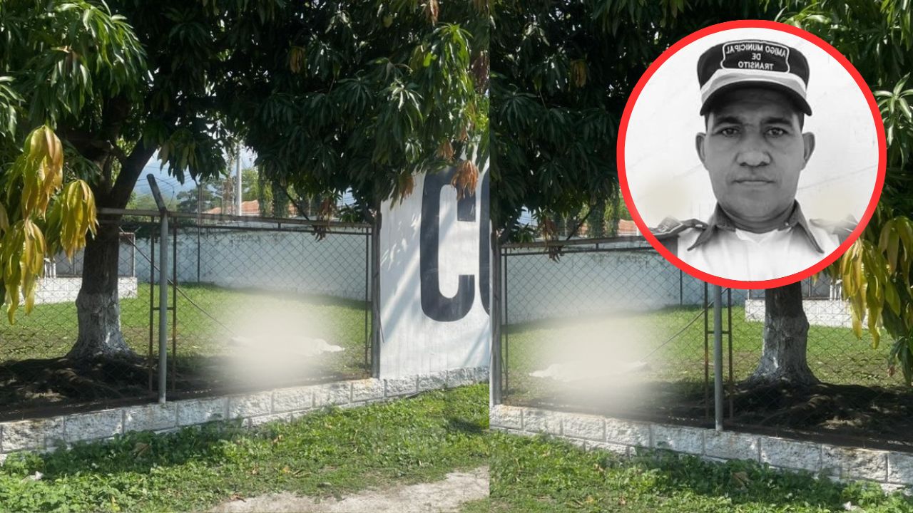 Policía municipal pierde la vida electrocutado cuando bajaba mangos en San Pedro Sula