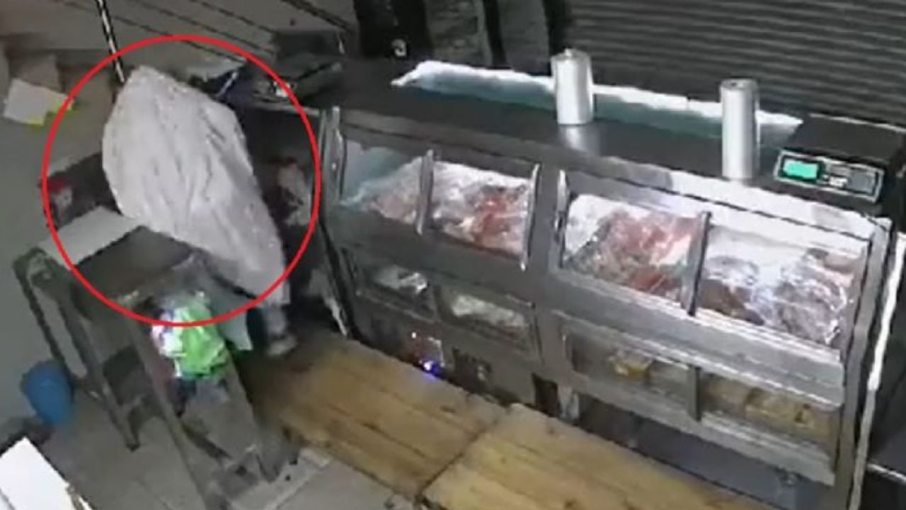 Captan a hombre vestido de fantasma con una sábana blanca robando en una carnicería