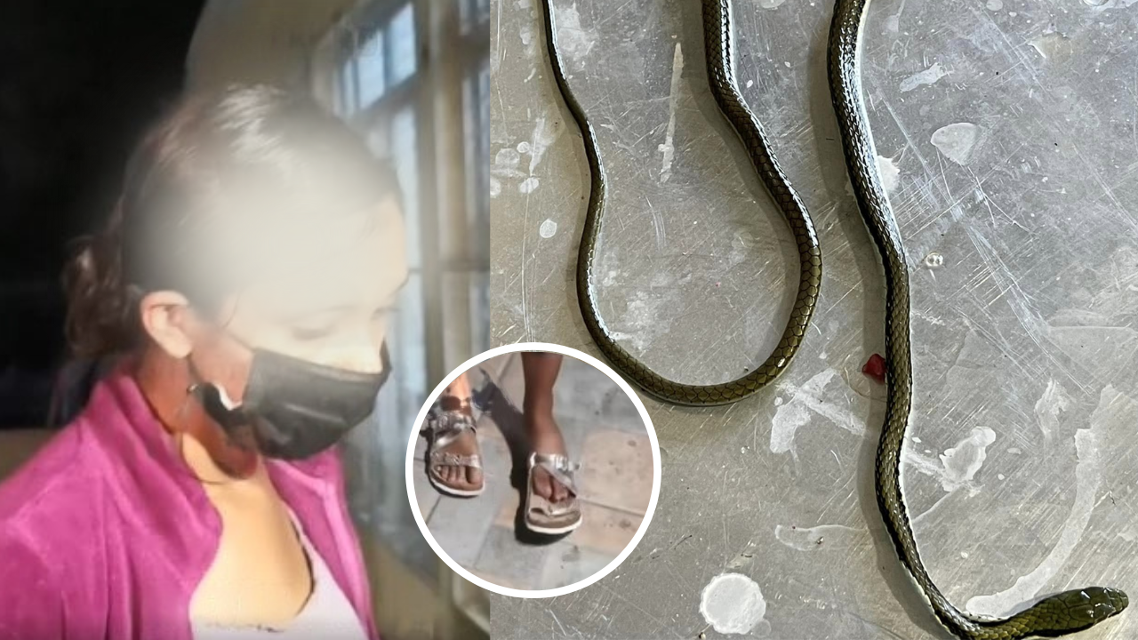 Joven sufre mordedura de serpiente mientras limpiaba su casa en El Corpus, Choluteca