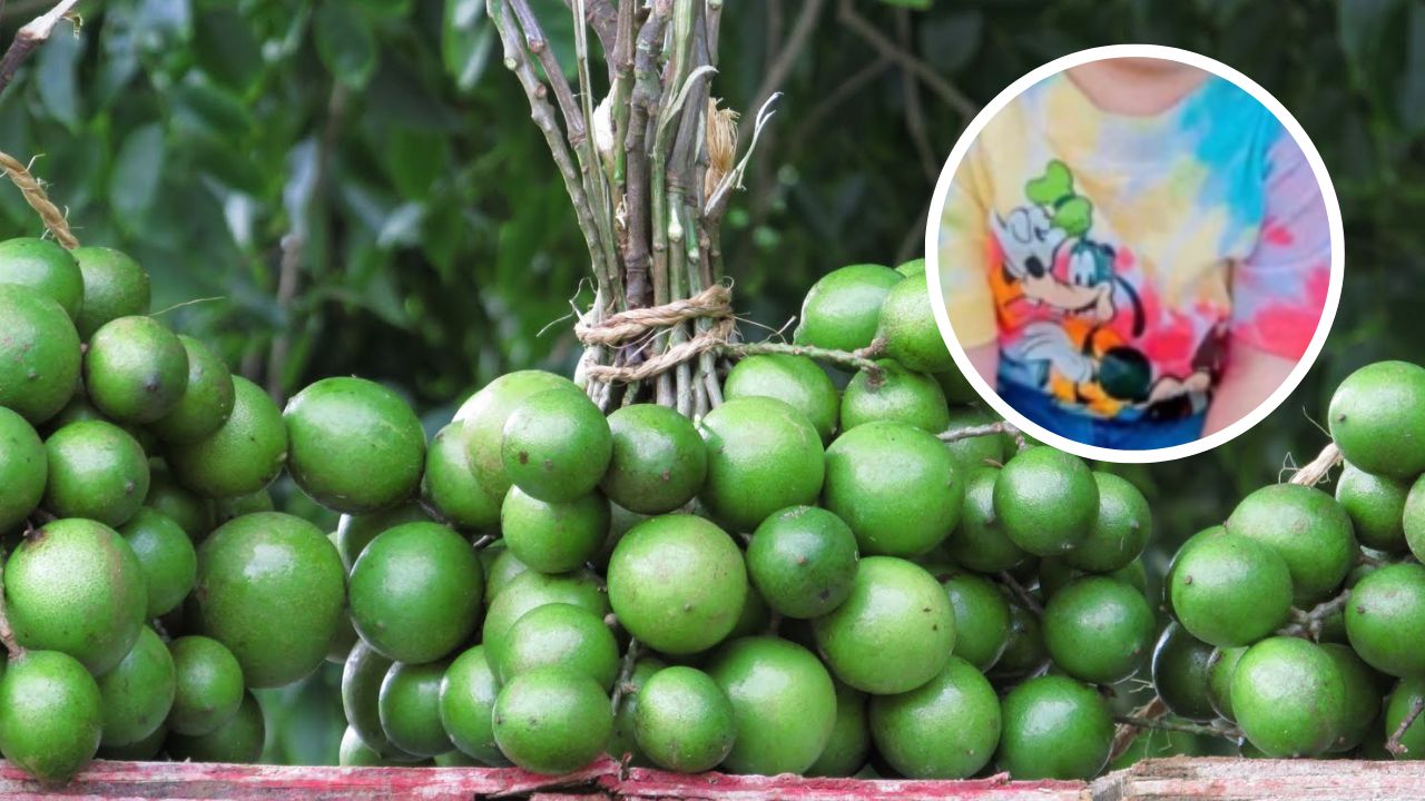 'Mi niño, ahora serás un angelito'; menor pierde la vida al tragarse una semilla de mamón en Olancho