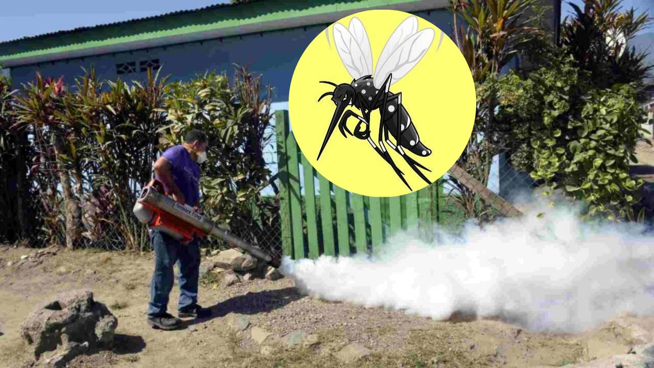 OMS dice que dengue en América puede aumentar en segundo semestre y recomienda repelente