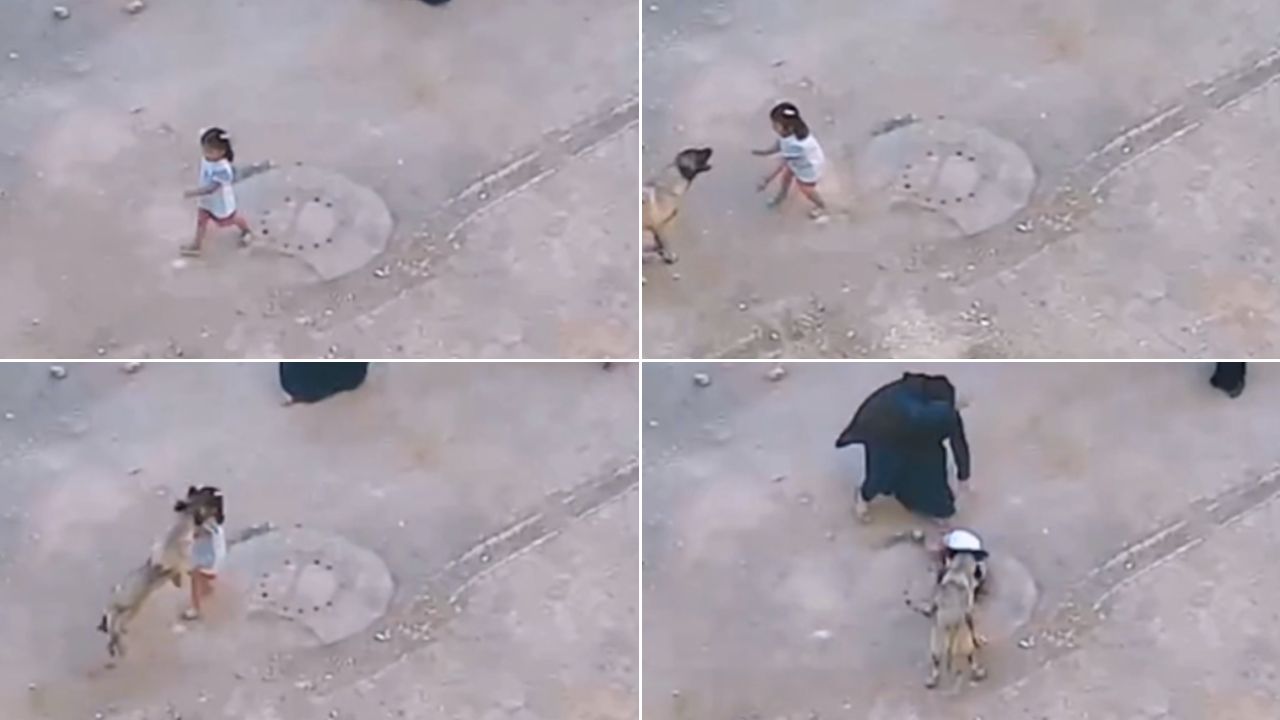 VIDEO: Perro ataca a niña que estaba caminando junto a su familia en la calle
